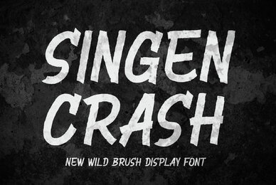 Singen Crash