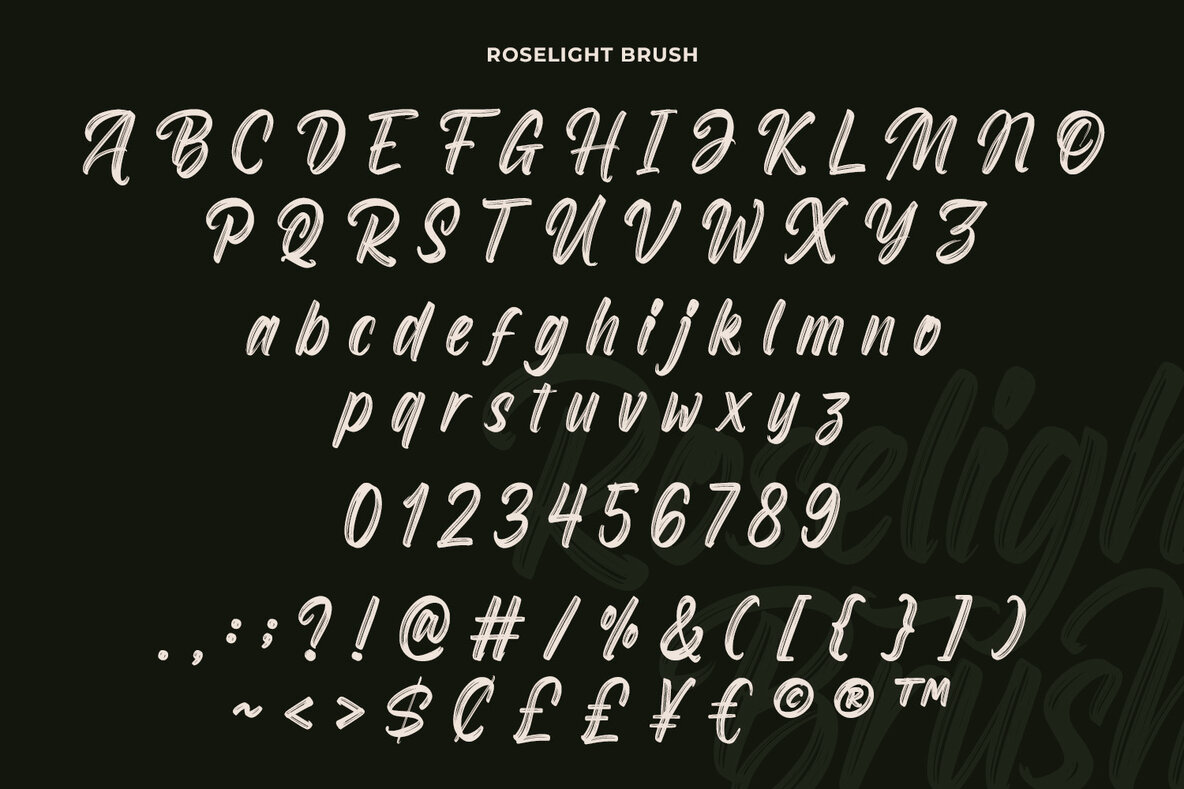 Roselight Brush 9