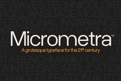 Micrometra