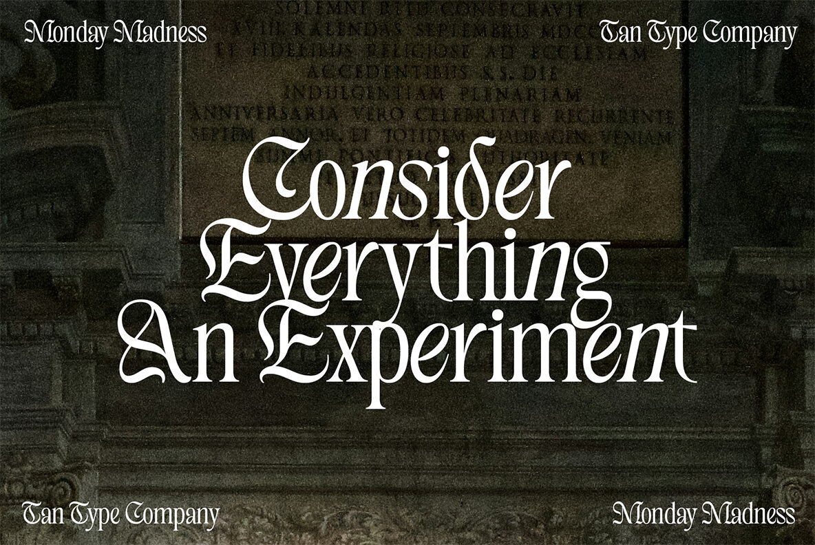 TAN   MONDAY MADNESS 3