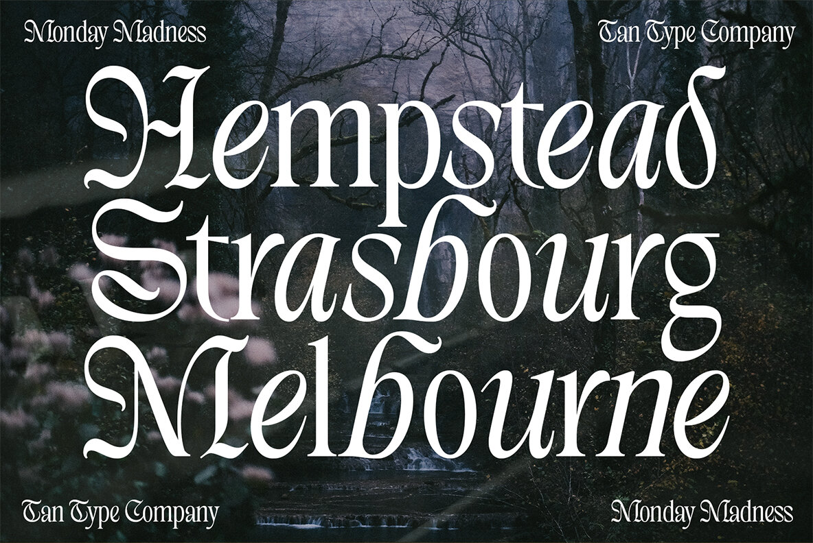 TAN   MONDAY MADNESS 4