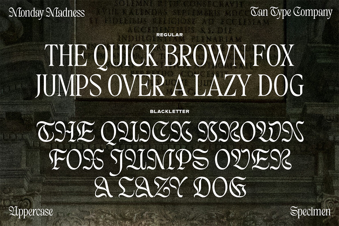 TAN   MONDAY MADNESS 8