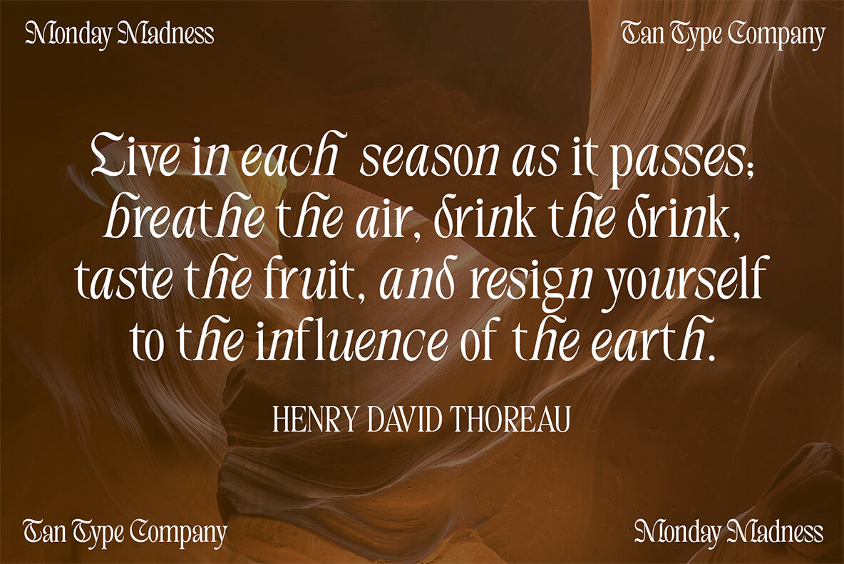 TAN   MONDAY MADNESS 11