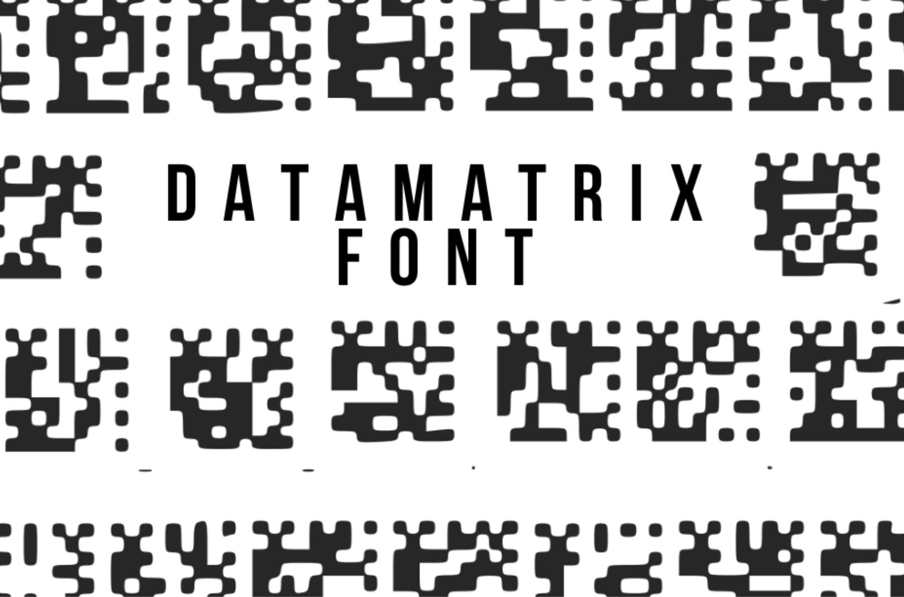 Datamatrix 1