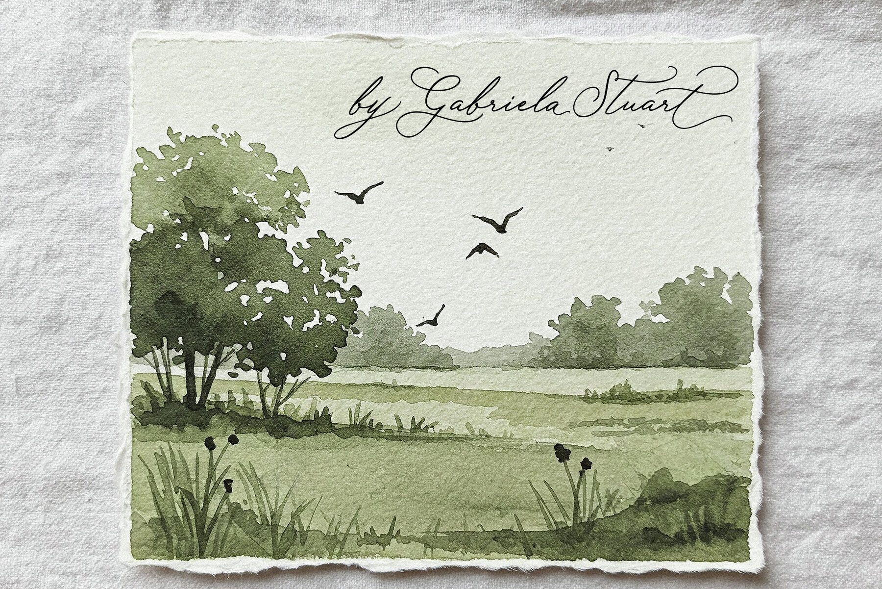 Rose Orchard Garden 12