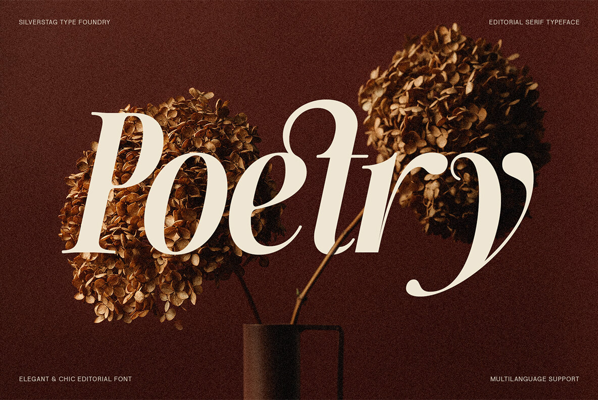 SLTF The Silver Editorial 4