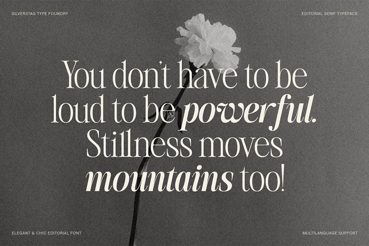 SLTF The Silver Editorial 19