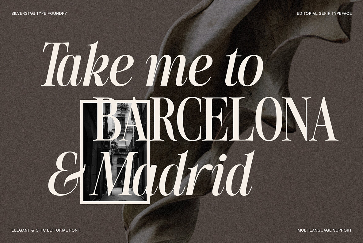 SLTF The Silver Editorial 21