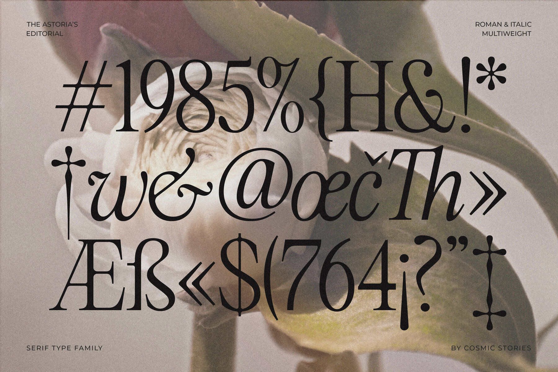 The Astorias Editorial 10