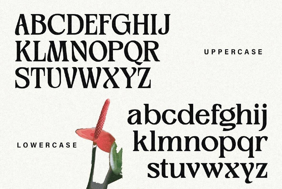 Meginner Nineties 21