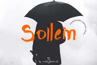 Sollein