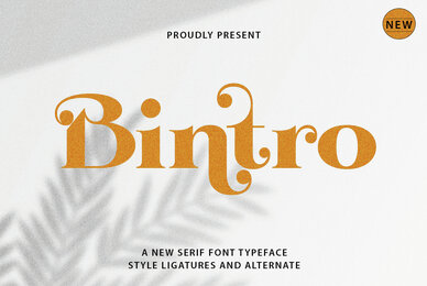 Bintro