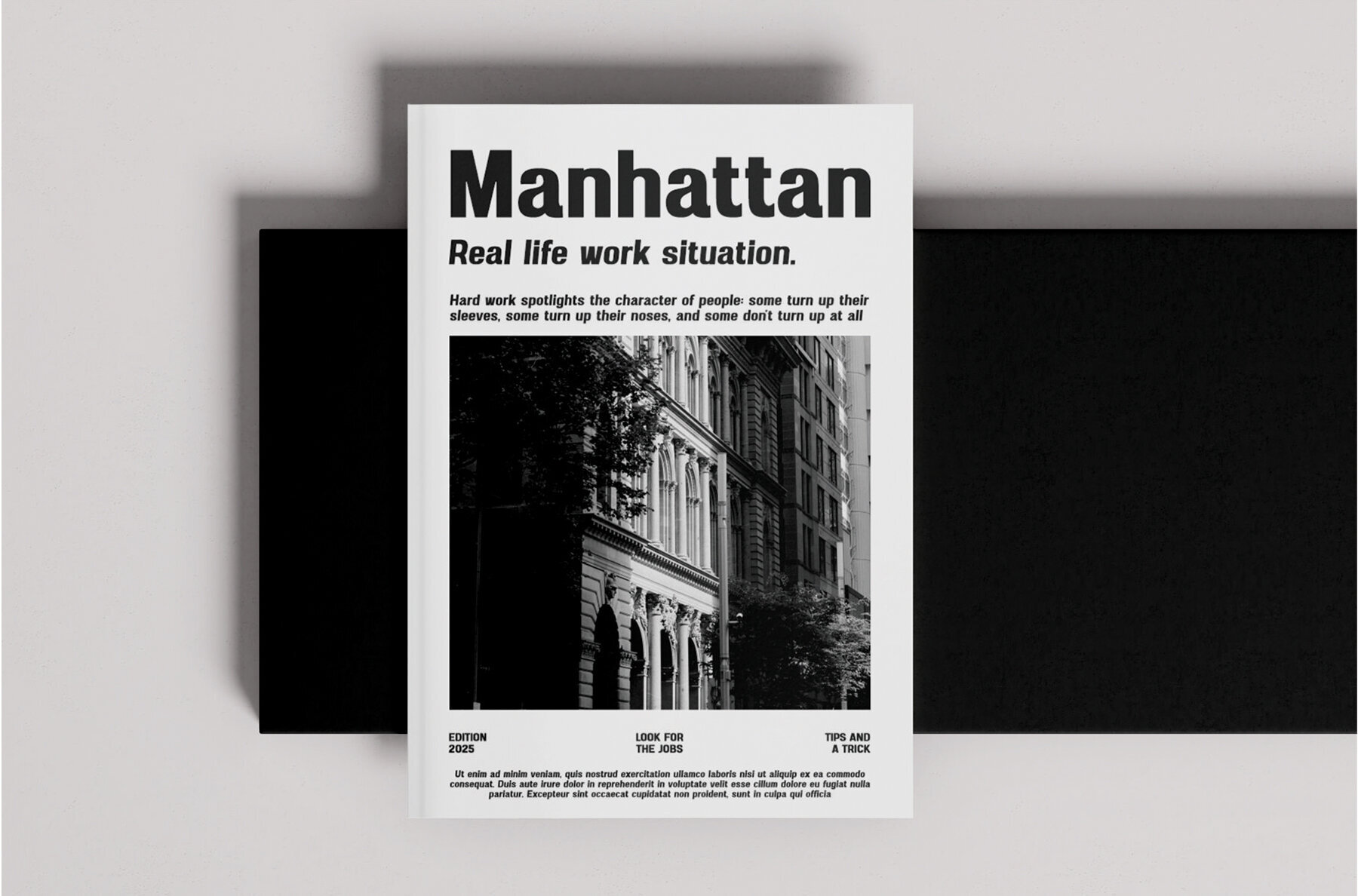 Pasfern De Micholin 3