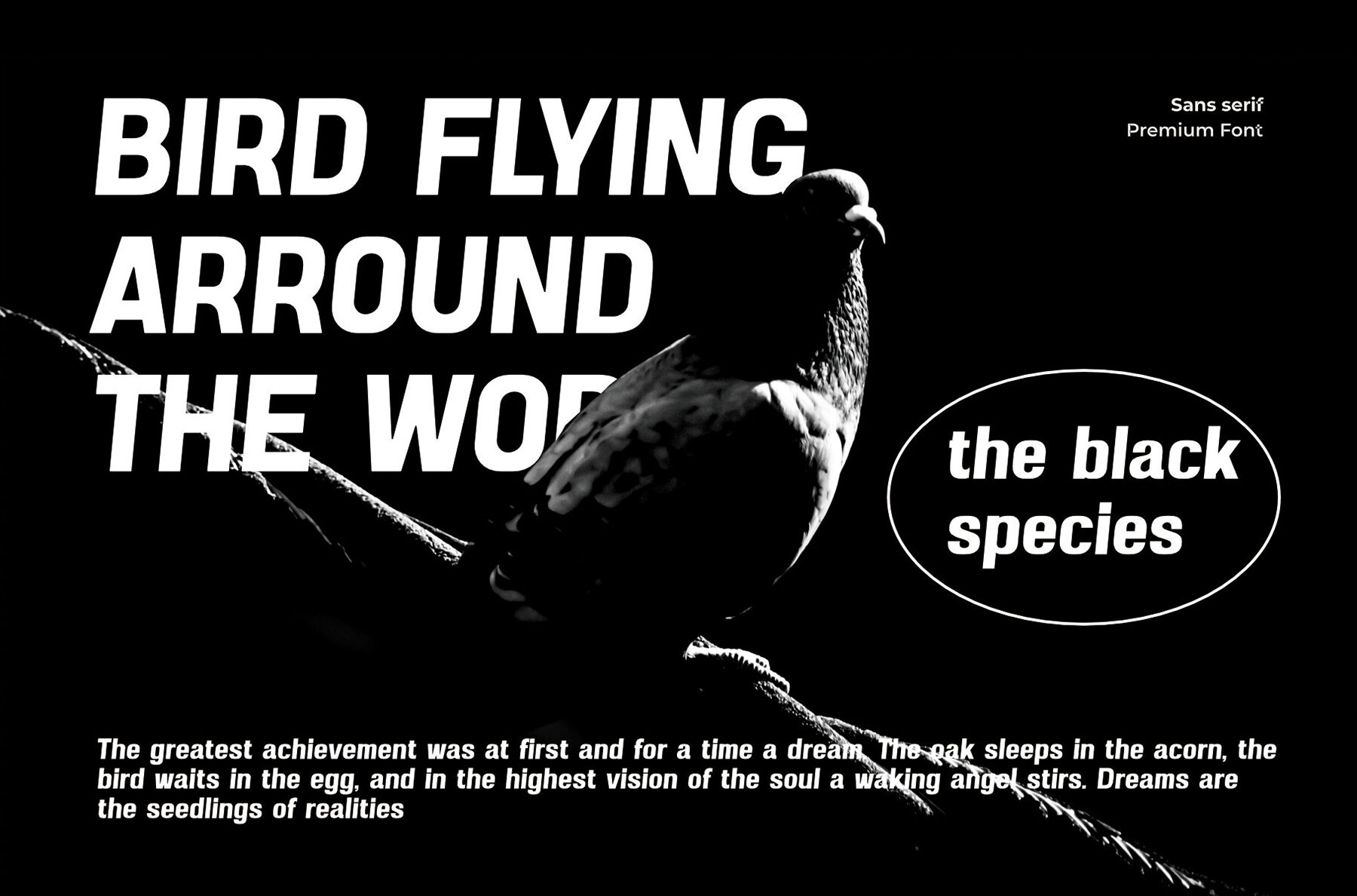 Pasfern De Micholin 4