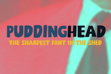 Puddinghead