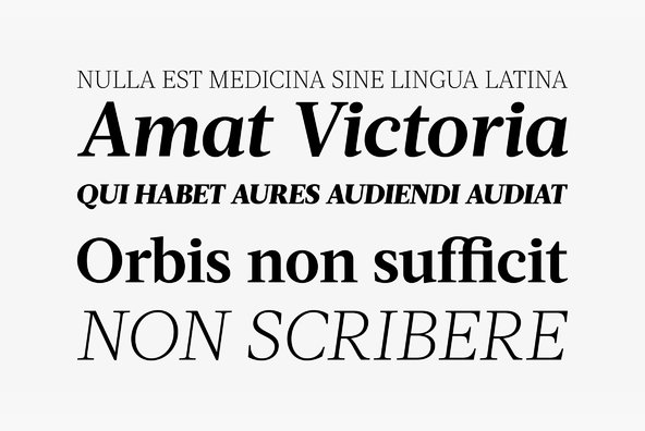 Acta Acta
