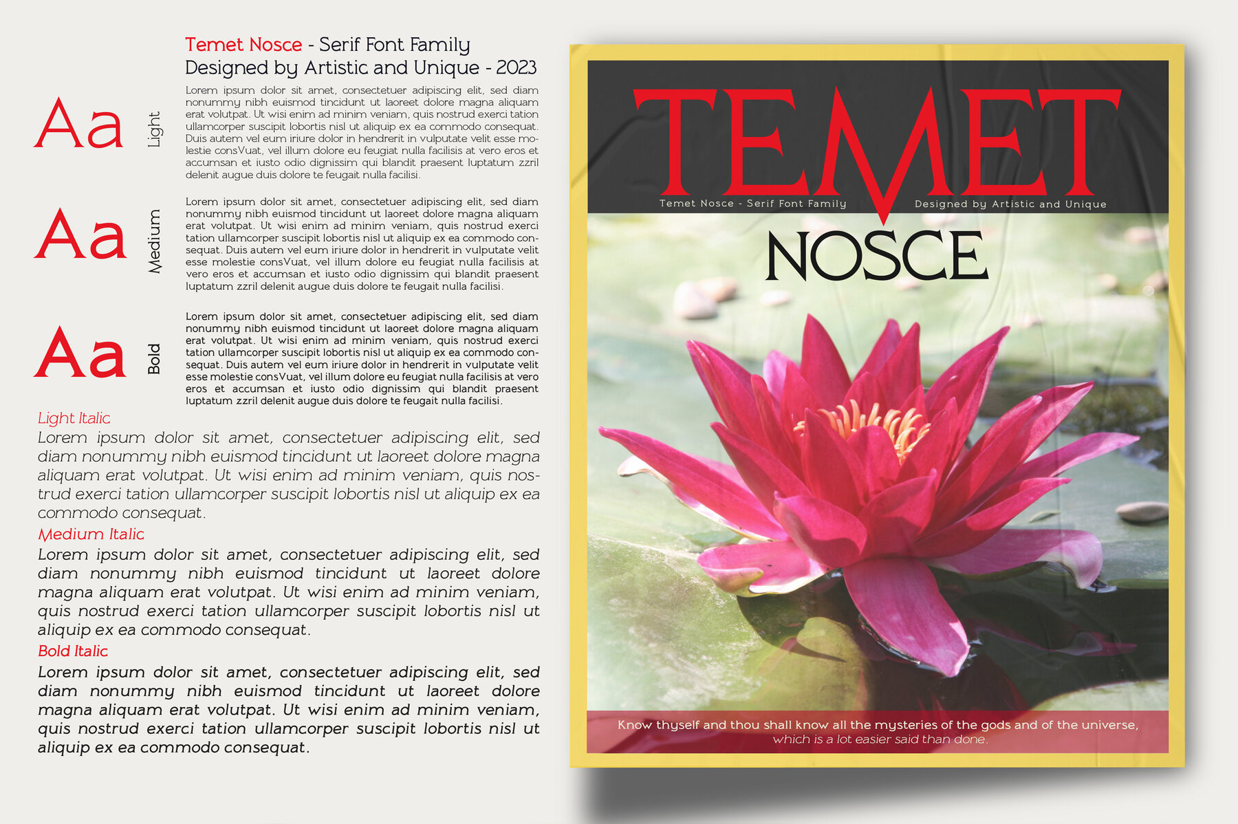Temet Nosce 9
