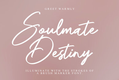 Soulmate Destiny