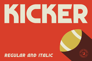 Kicker