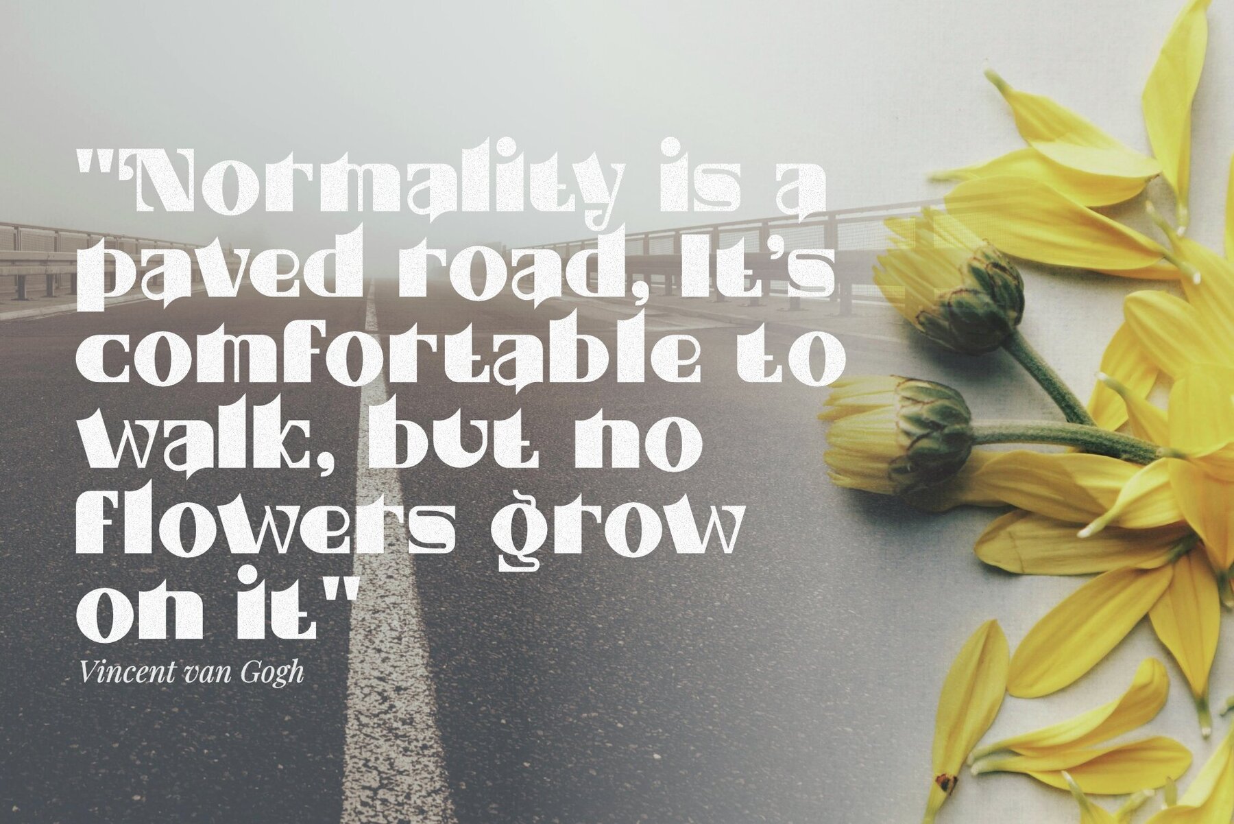 Luminescent Elegance 13