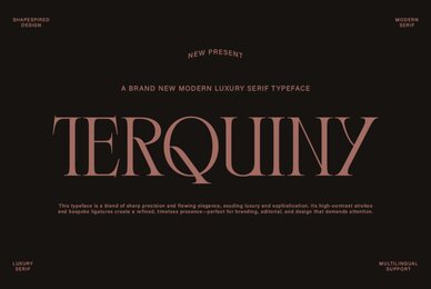Terquiny Font