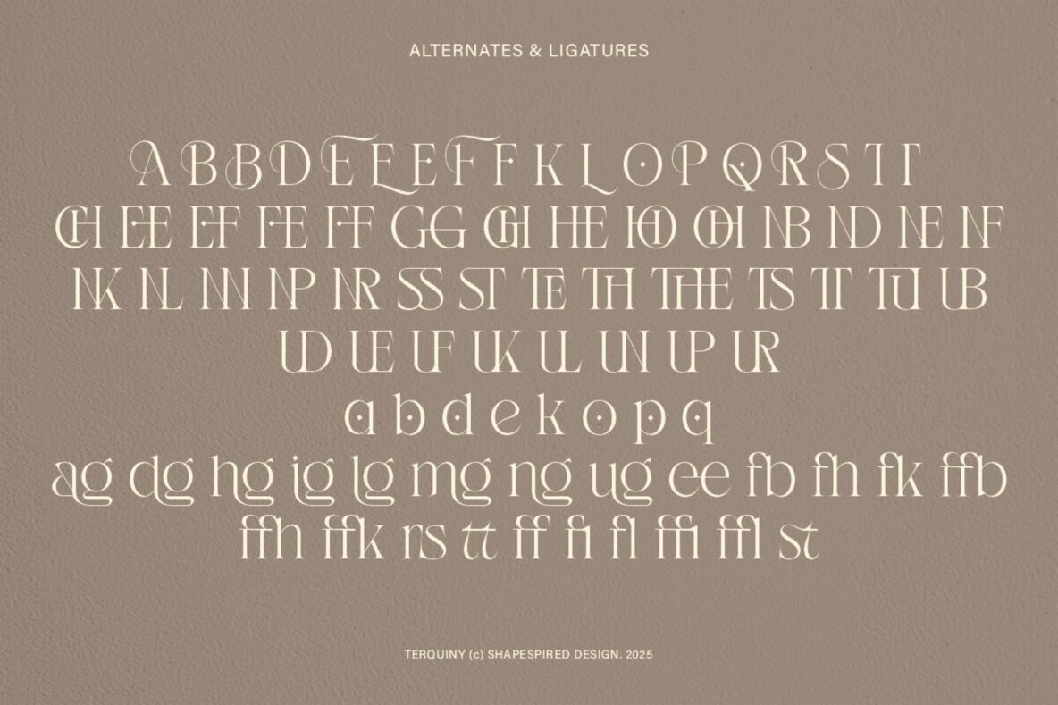 Terquiny Font 10