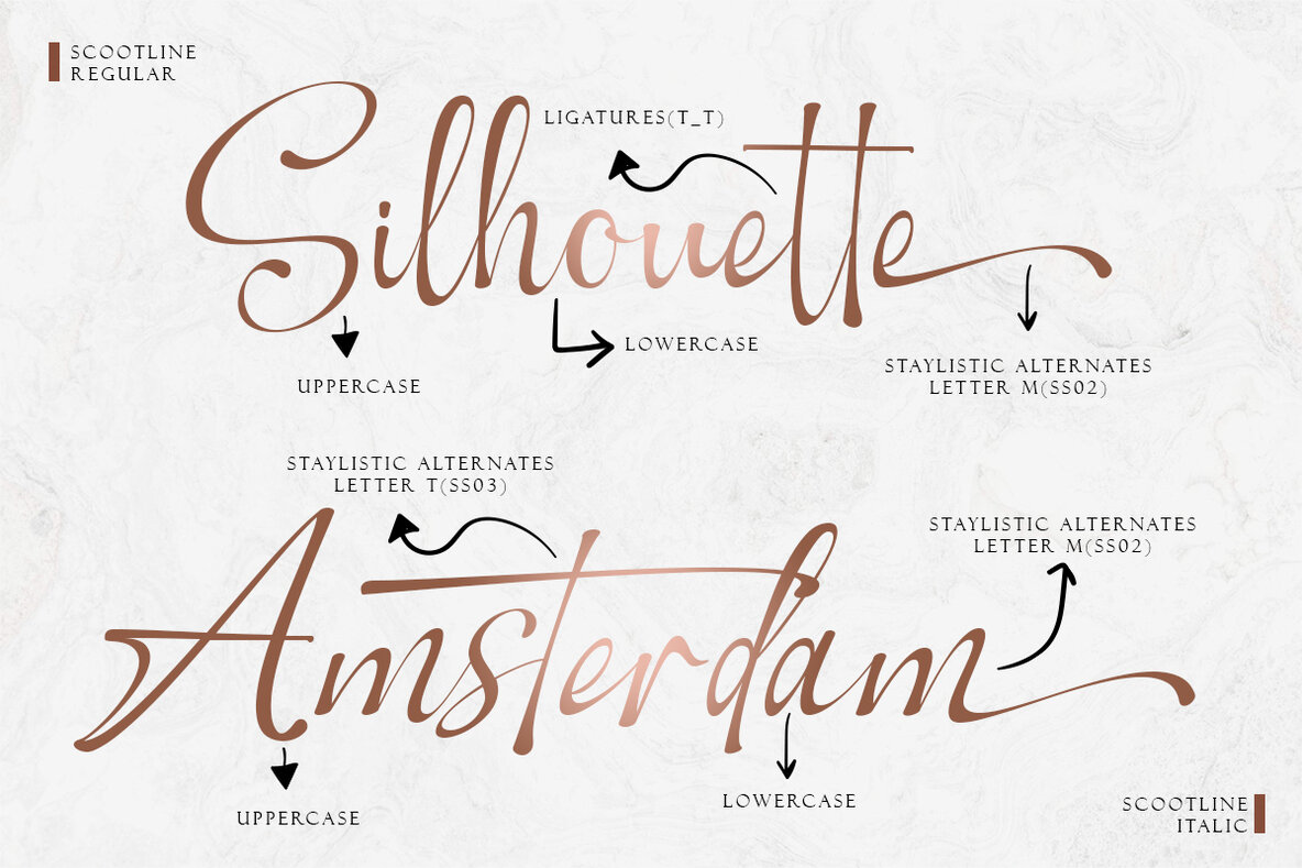 Scootline Signature 10