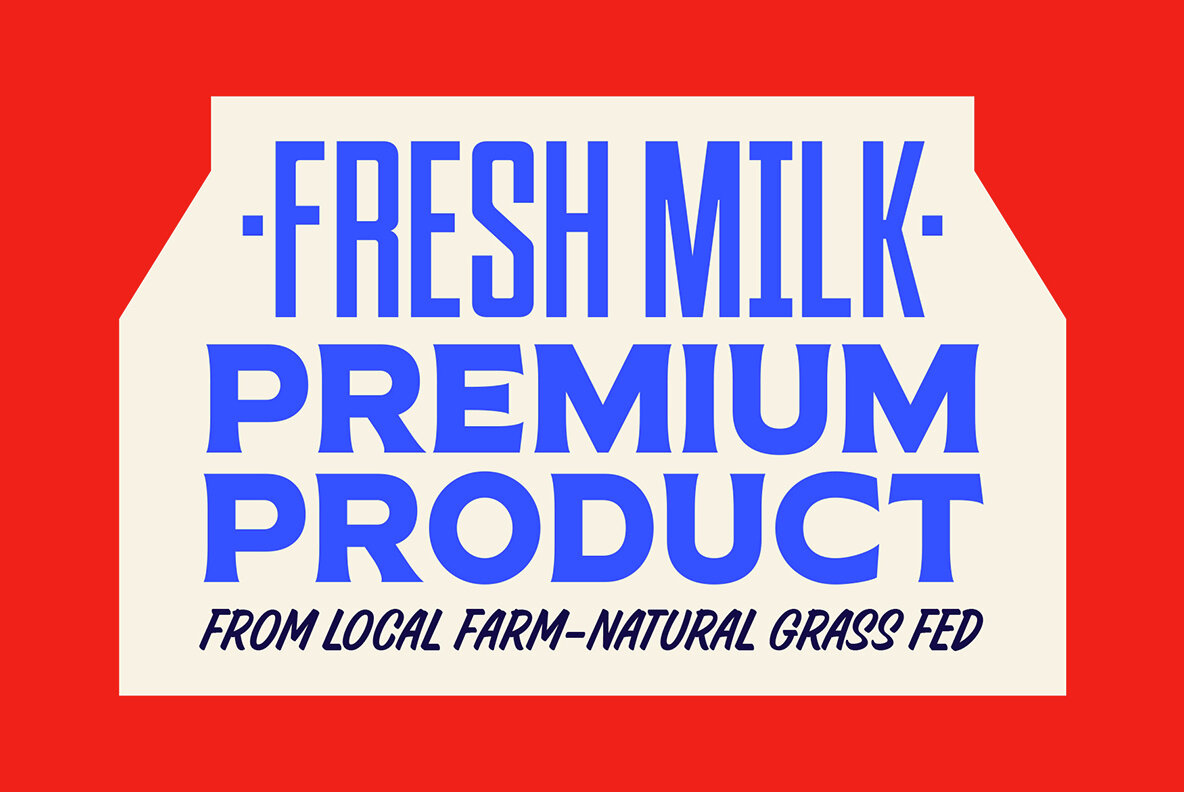 TNSC Special Season 4