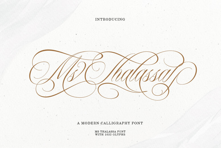 Ms Thalassa Font