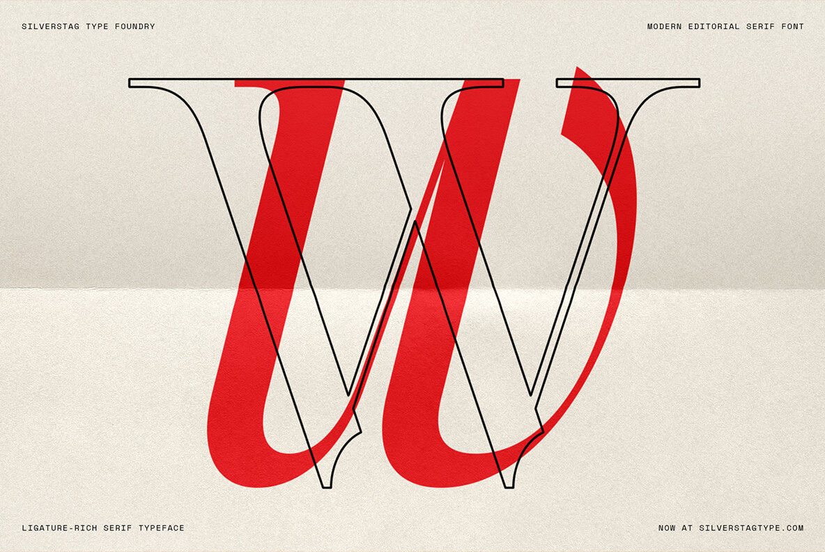 SLTF The Elfkin Editorial 20