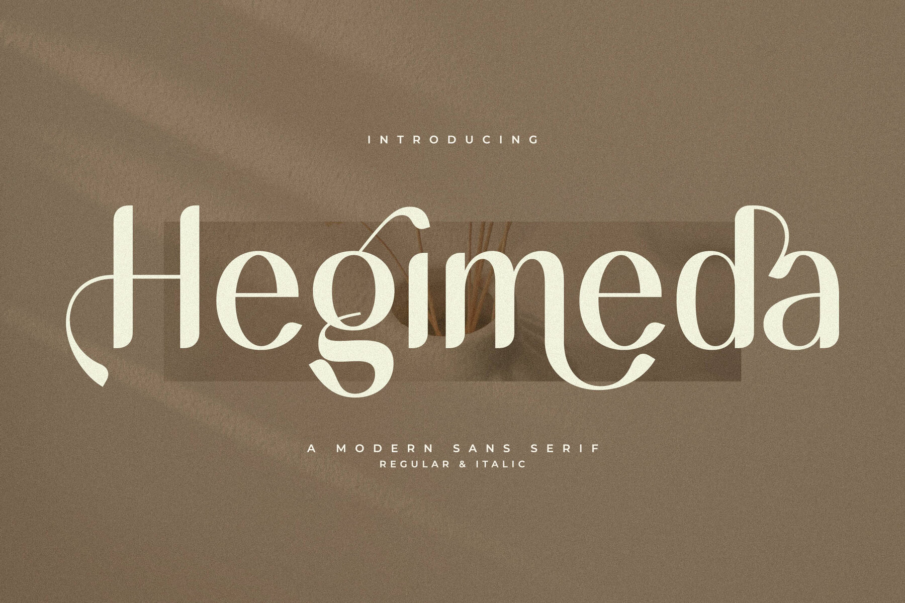Hegimeda 1