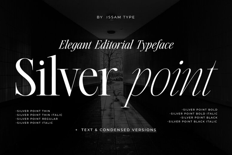 Silver Point Font