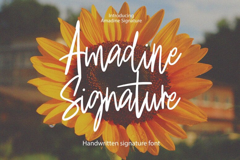 Amadine Signature Font