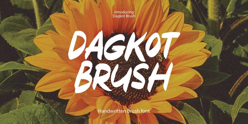 Dagkot Brush