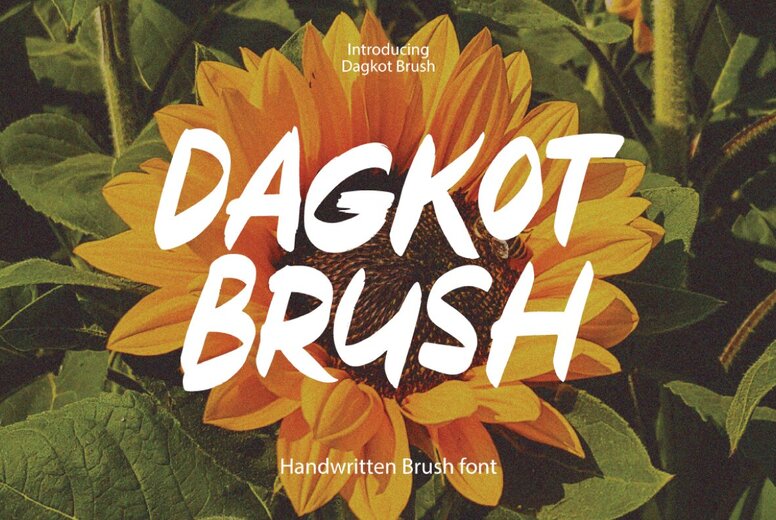 Dagkot Brush Font