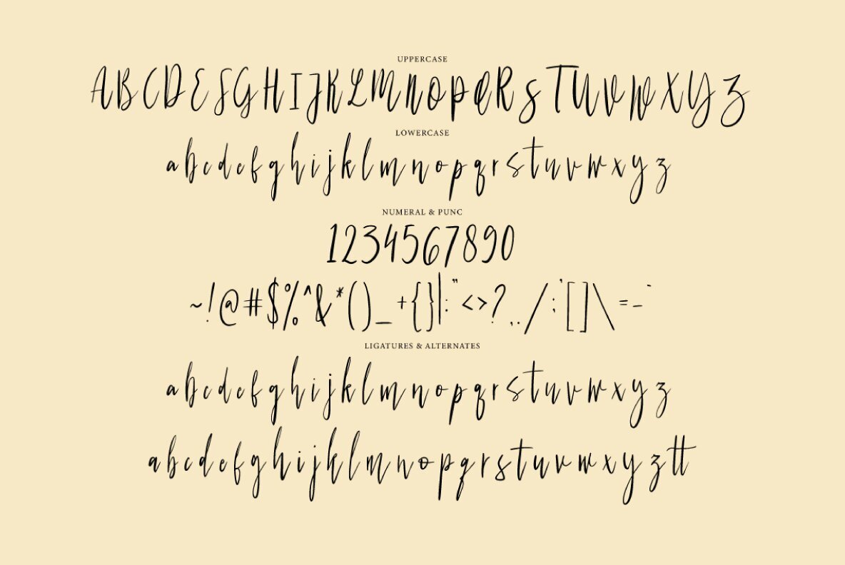 Biskidy Script 7