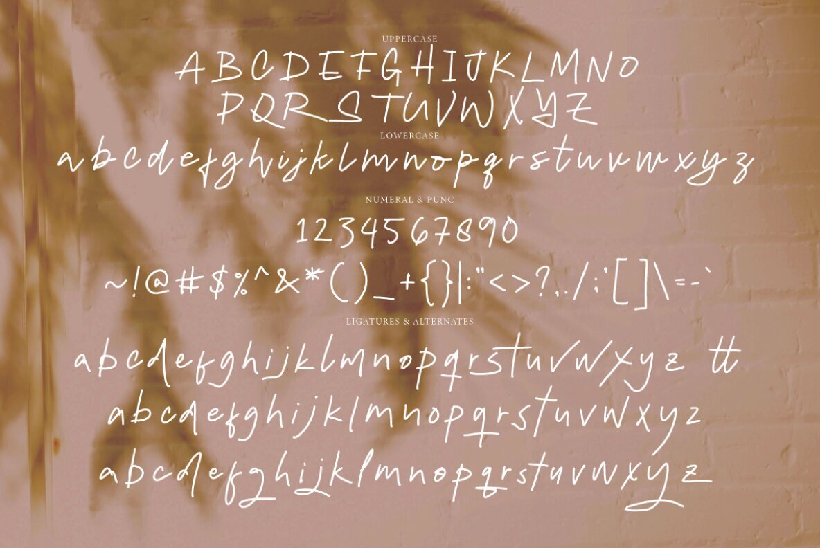 Mediyasi Signature 6