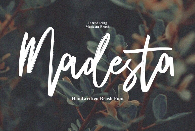 Madesta Brush Font