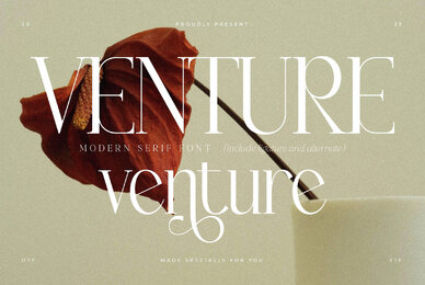 Venture