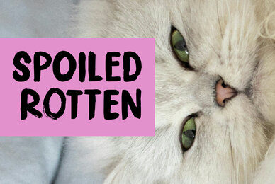 Spoiled Rotten