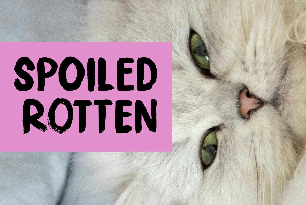 Spoiled Rotten 1