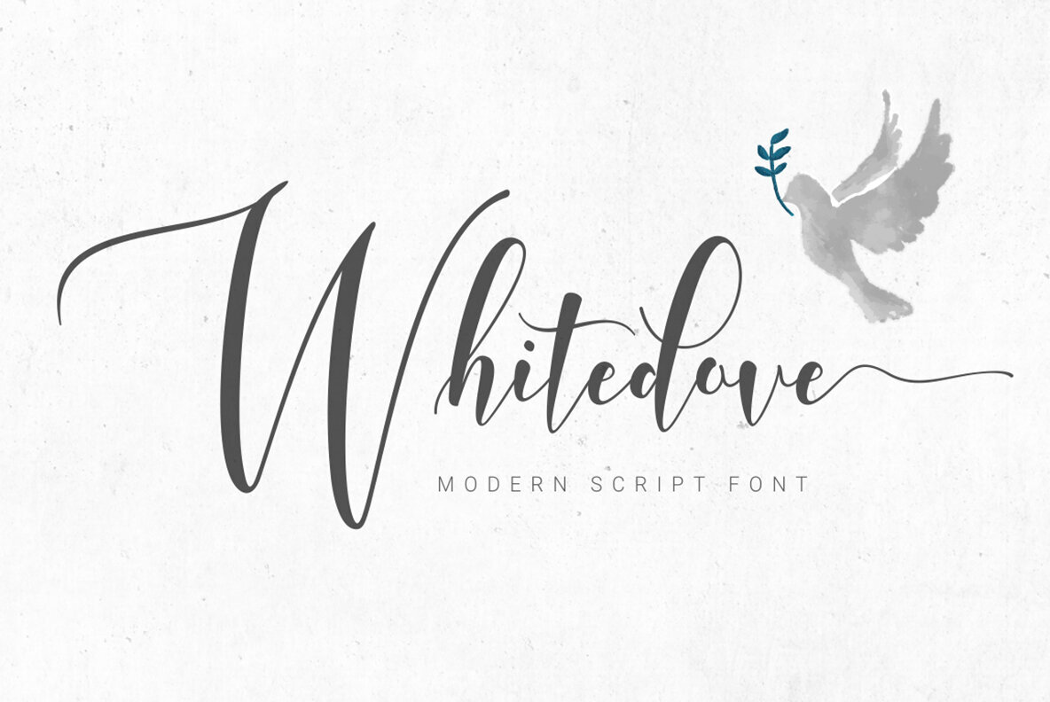 Whitedove 1