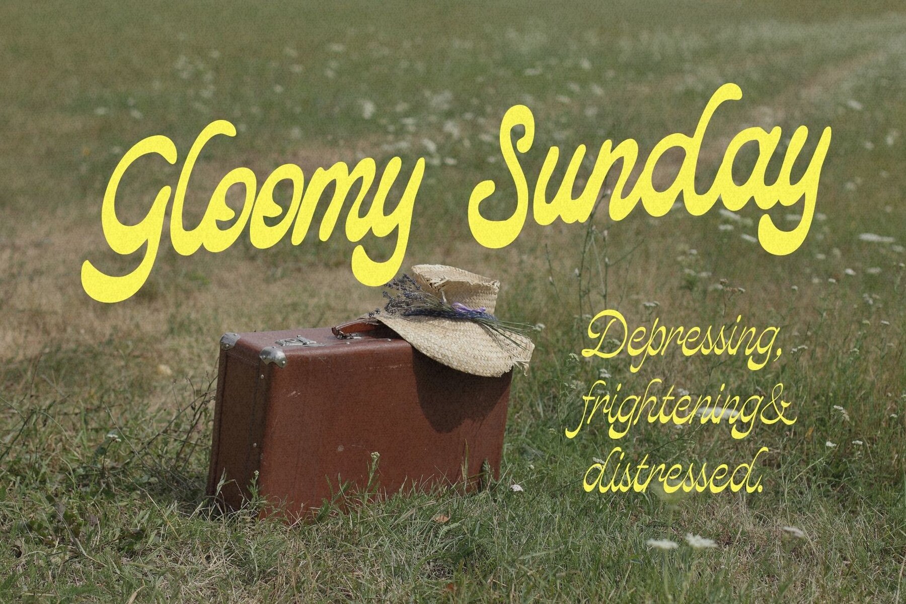 Beach and Great Moments 6