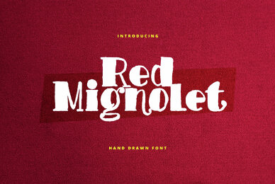 Red Mignolet