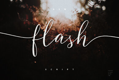 Flash Script