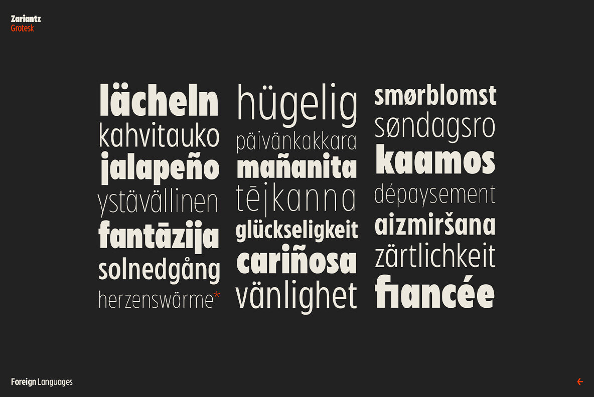 Zariantz Grotesk Variable 10