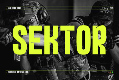 Sektor