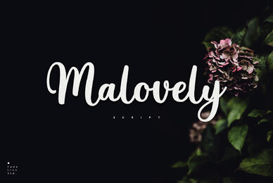 Malovely Script