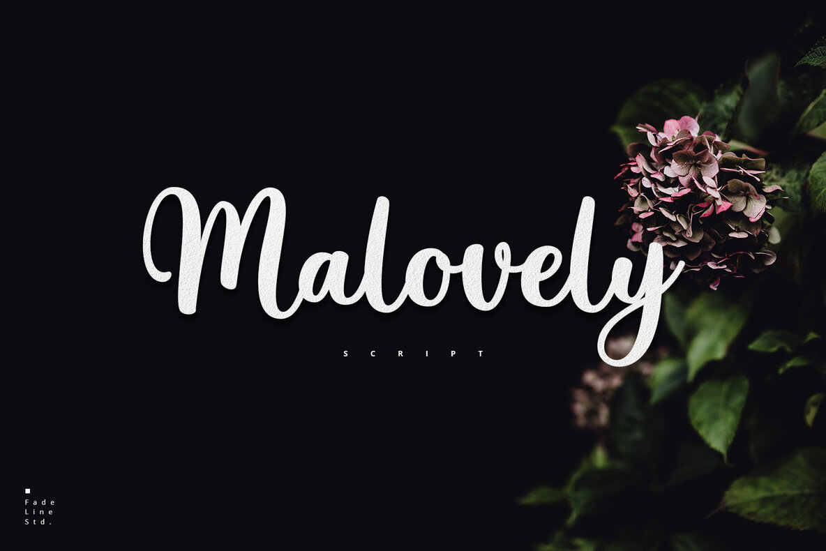 Script Font Mvl Malovely Script Font - Fontpath