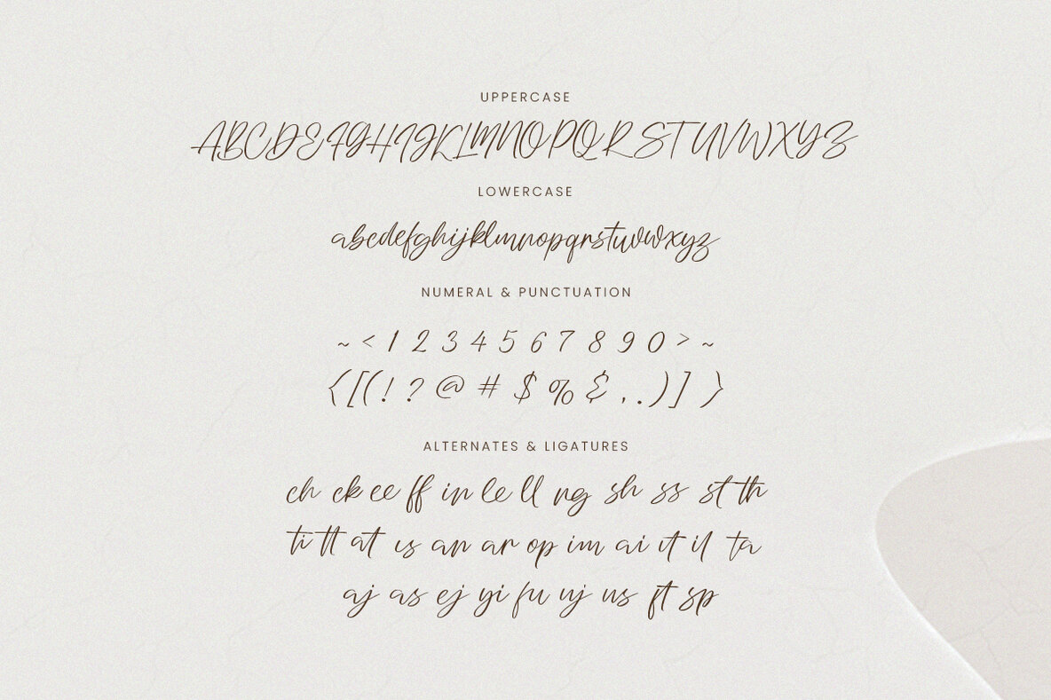 Our Beloved Matcha 13